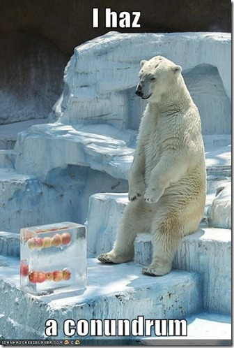 polar bear conundrum
